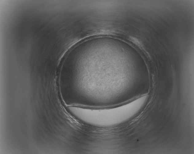 X0000067511260200604211742