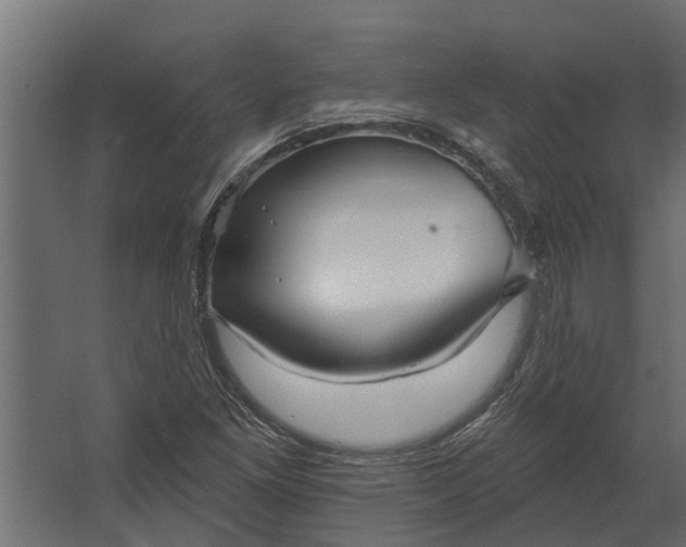 X0000067511261200604211742