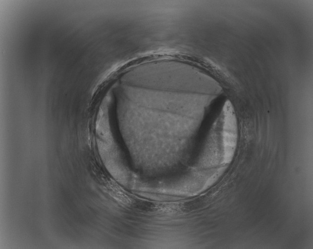 X0000067511262200604211742