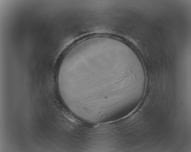 X0000067511263200604211742