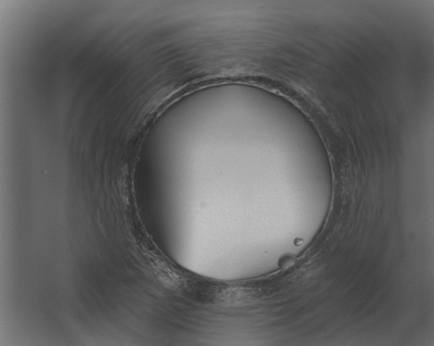 X0000067511265200604211742