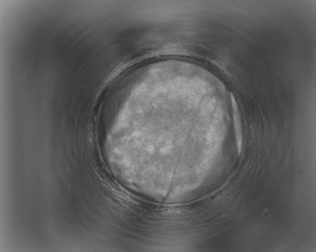 X0000067511266200604211741