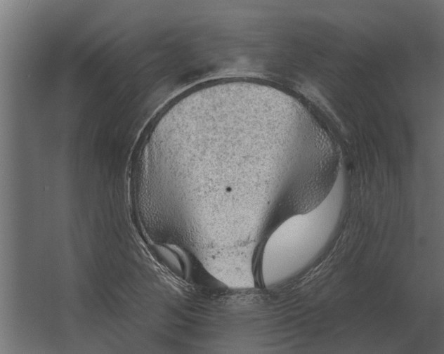 X0000067511268200604211741