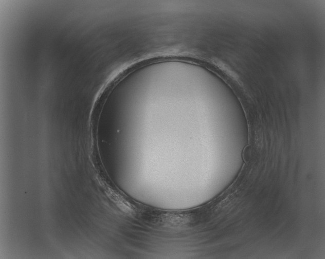 X0000067511270200604211741