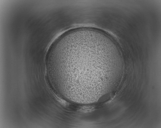 X0000067511271200604211741