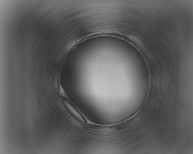 X0000067511273200604211741