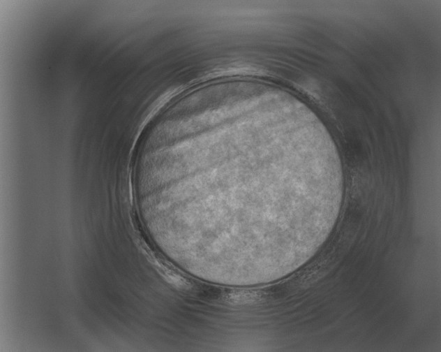 X0000067511274200604211741