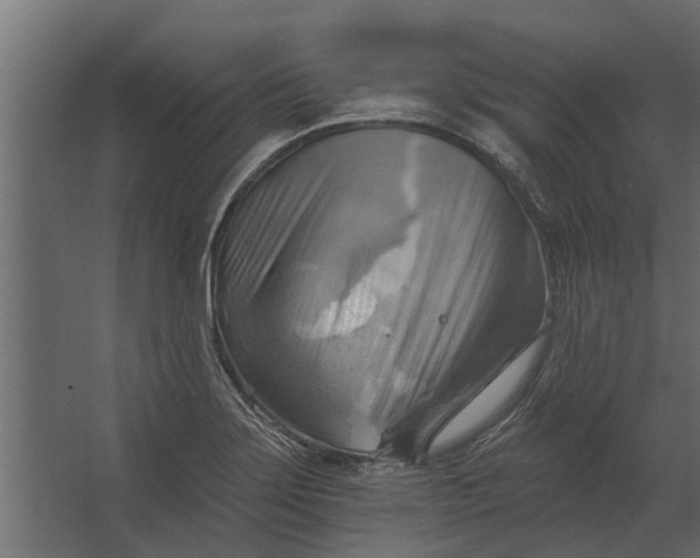 X0000067511275200604211741