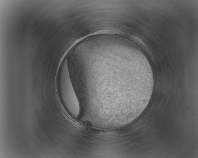 X0000067511276200604211741