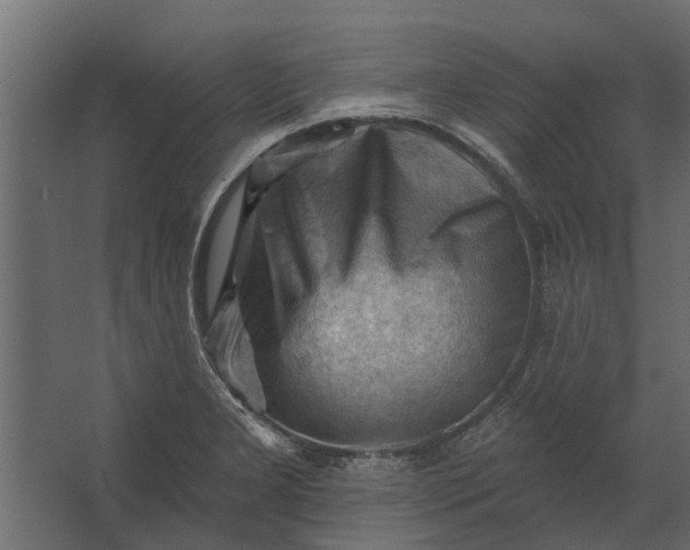 X0000067511277200604211741