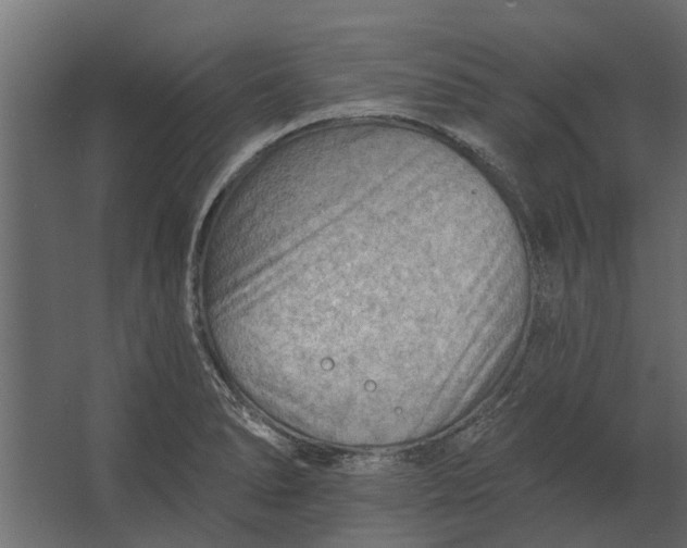 X0000067511278200604211741