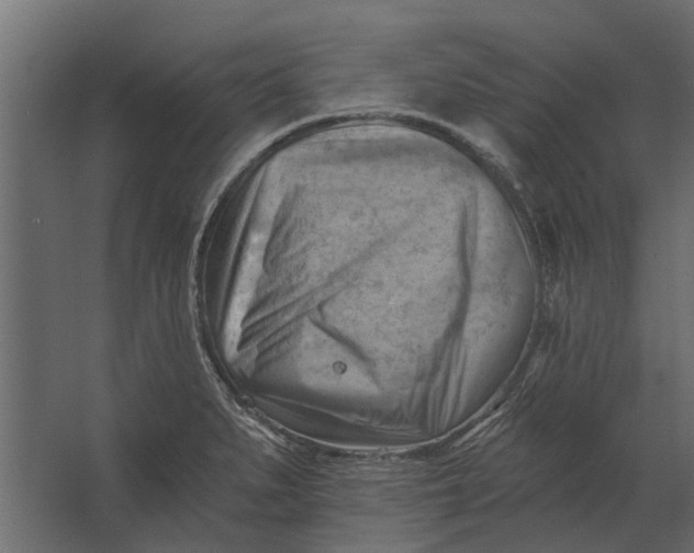 X0000067511279200604211741