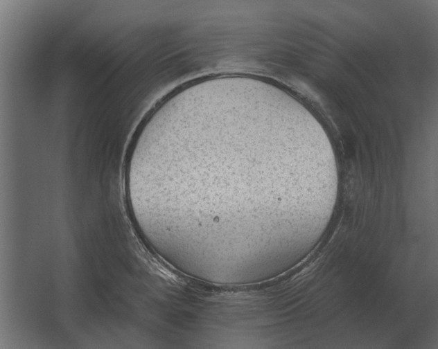 X0000067511280200604211741