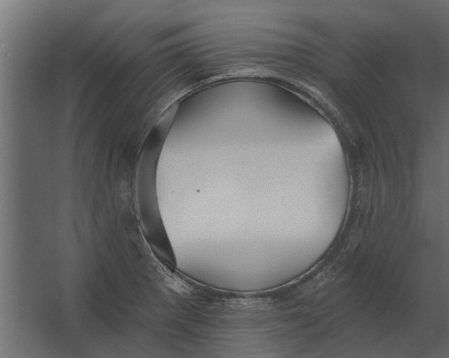 X0000067511281200604211741