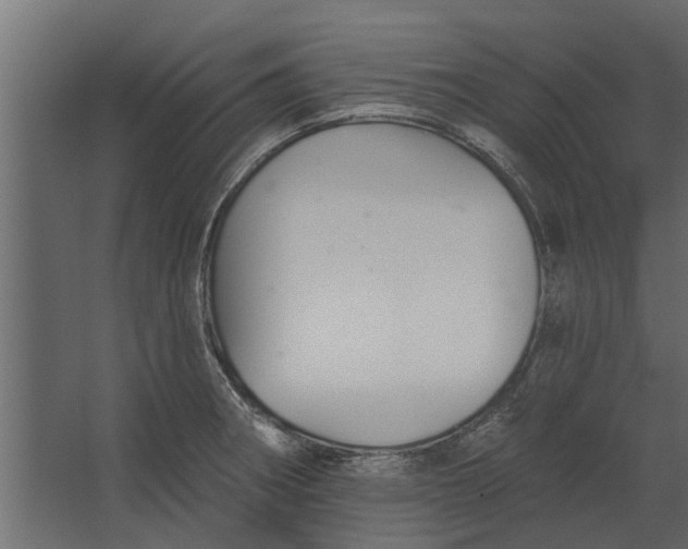 X0000067511282200604211741