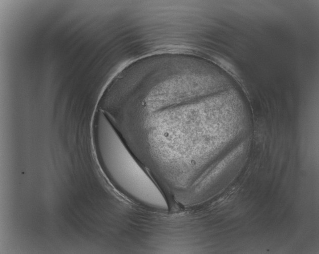 X0000067511283200604211741