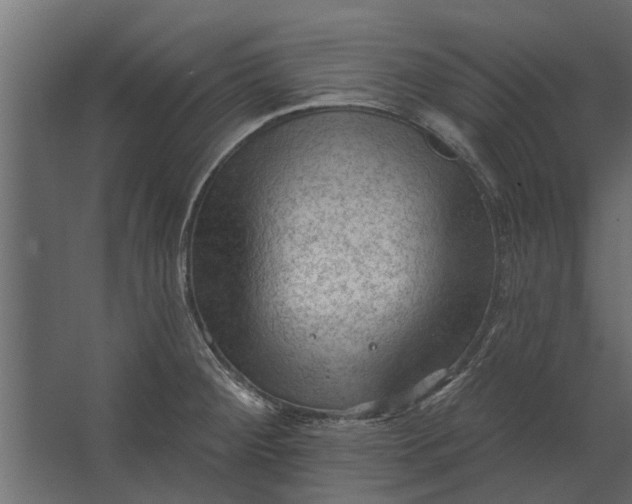 X0000067511284200604211741