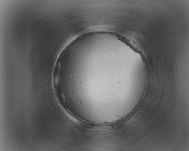 X0000067511285200604211741