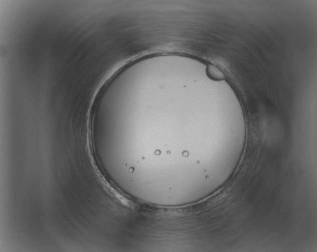 X0000067511286200604211741