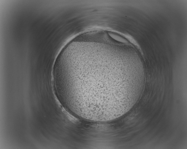 X0000067511287200604211741