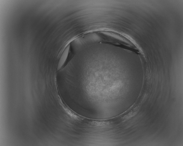 X0000067511289200604211741