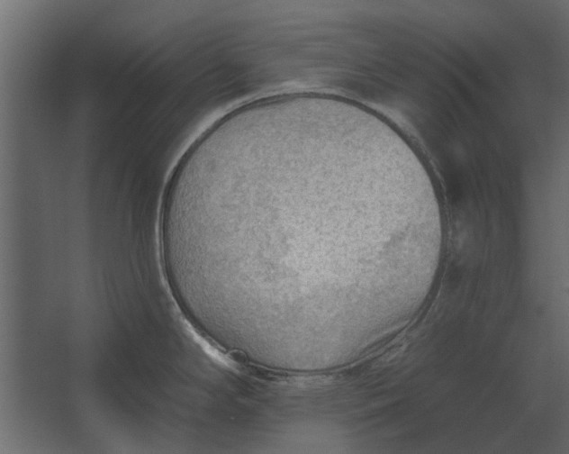 X0000067511294200604211741