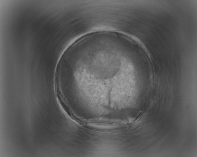 X0000067511295200604211741