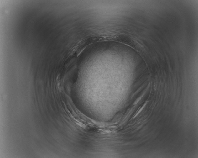 X0000067511298200604211740