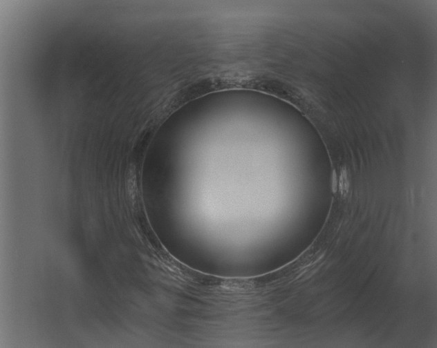 X0000067511299200604211740