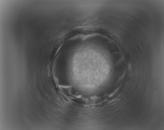 X0000067511300200604211740