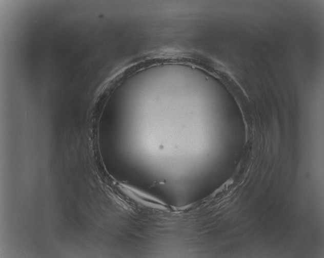 X0000067511304200604211740