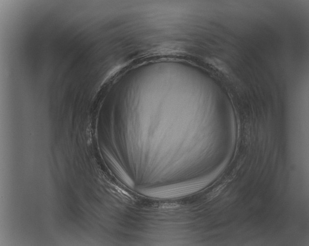 X0000067511306200604211740