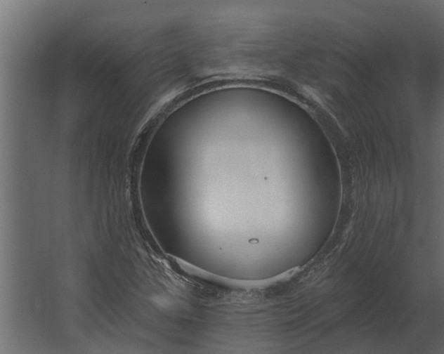 X0000067511307200604211740