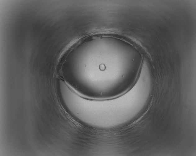 X0000067511317200604211741