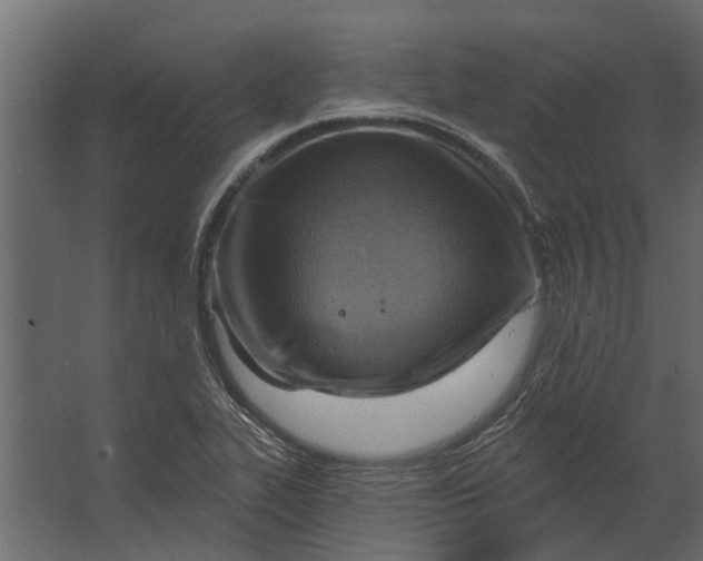 X0000067511319200604211741