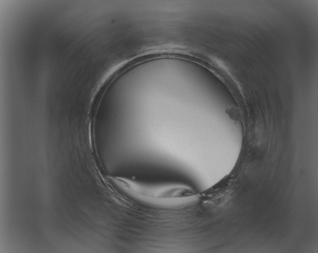 X0000067511320200604211741