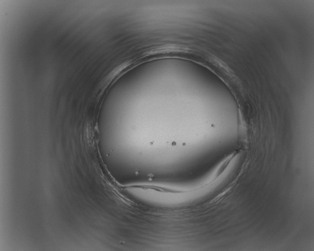 X0000067511321200604211741