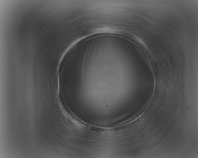 X0000067511323200604211741