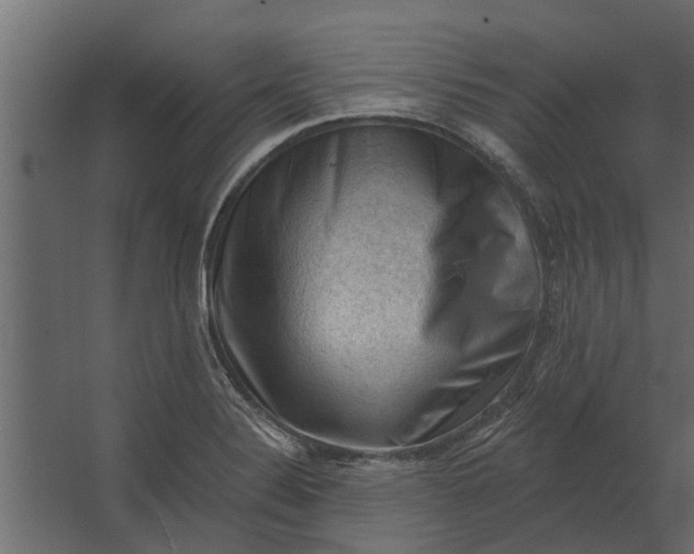 X0000067511324200604211741