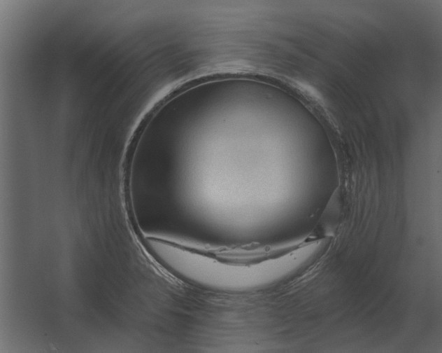 X0000067511326200604211741