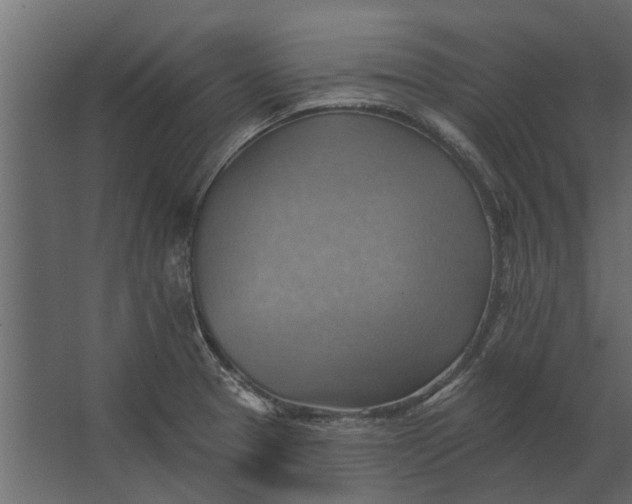 X0000067511329200604211741