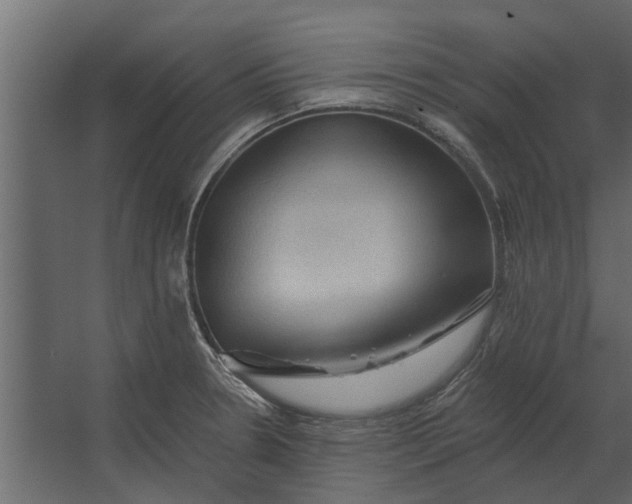 X0000067511330200604211741