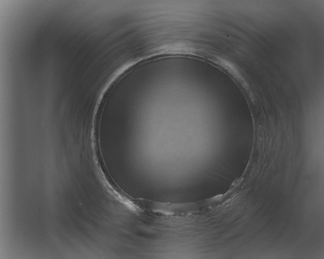 X0000067511331200604211741