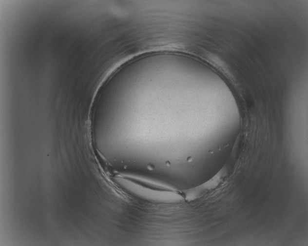 X0000067511332200604211741