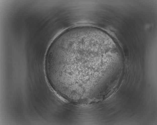 X0000067511333200604211741