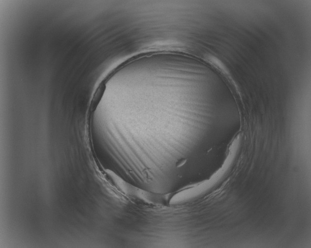 X0000067511336200604211741