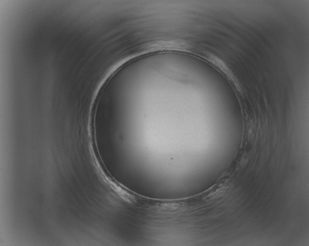 X0000067511339200604211741