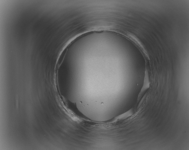 X0000067511340200604211741