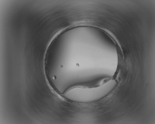 X0000067511341200604211741