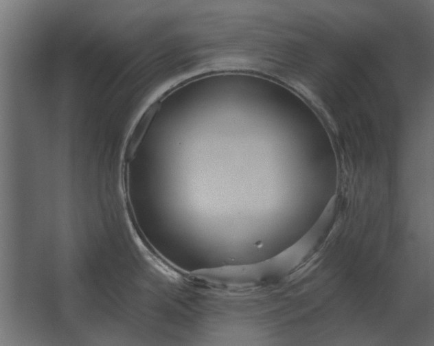 X0000067511342200604211741